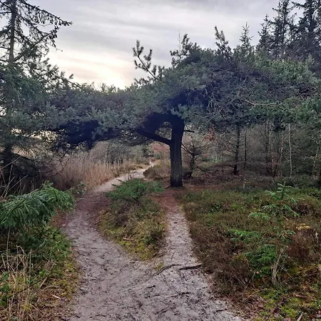 8 Person In Hals-by Traum Semesterbostad *